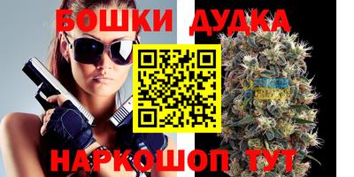 индика Конаково