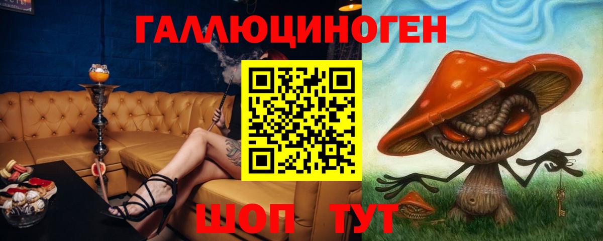 Качканар  Псилоцибиновые грибы Psilocybine cubensis  Вход с VPN 