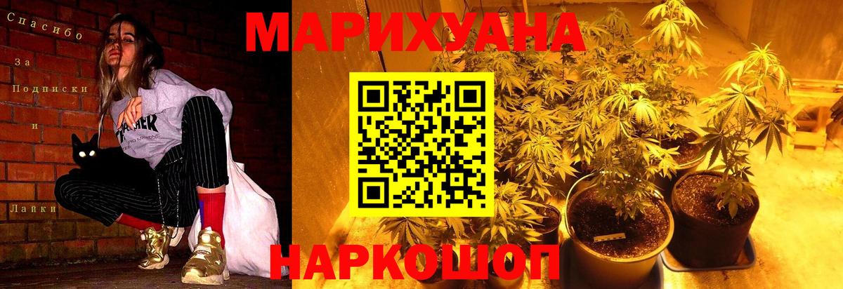 Бошки марихуана сатива Качканар